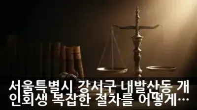 서울특별시 강서구 내발산동 개인회생, 복잡한 절차를 어떻게 준비해야 할까요?