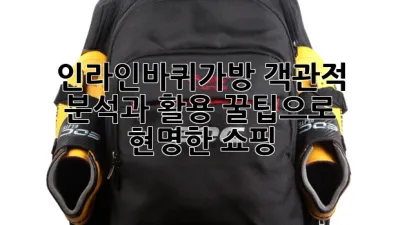 인라인바퀴가방: 객관적 분석과 활용 꿀팁으로 현명한 쇼핑!