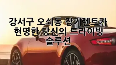강서구 오쇠동 장기렌트카, 현명한 당신의 드라이빙 솔루션 🚗✨